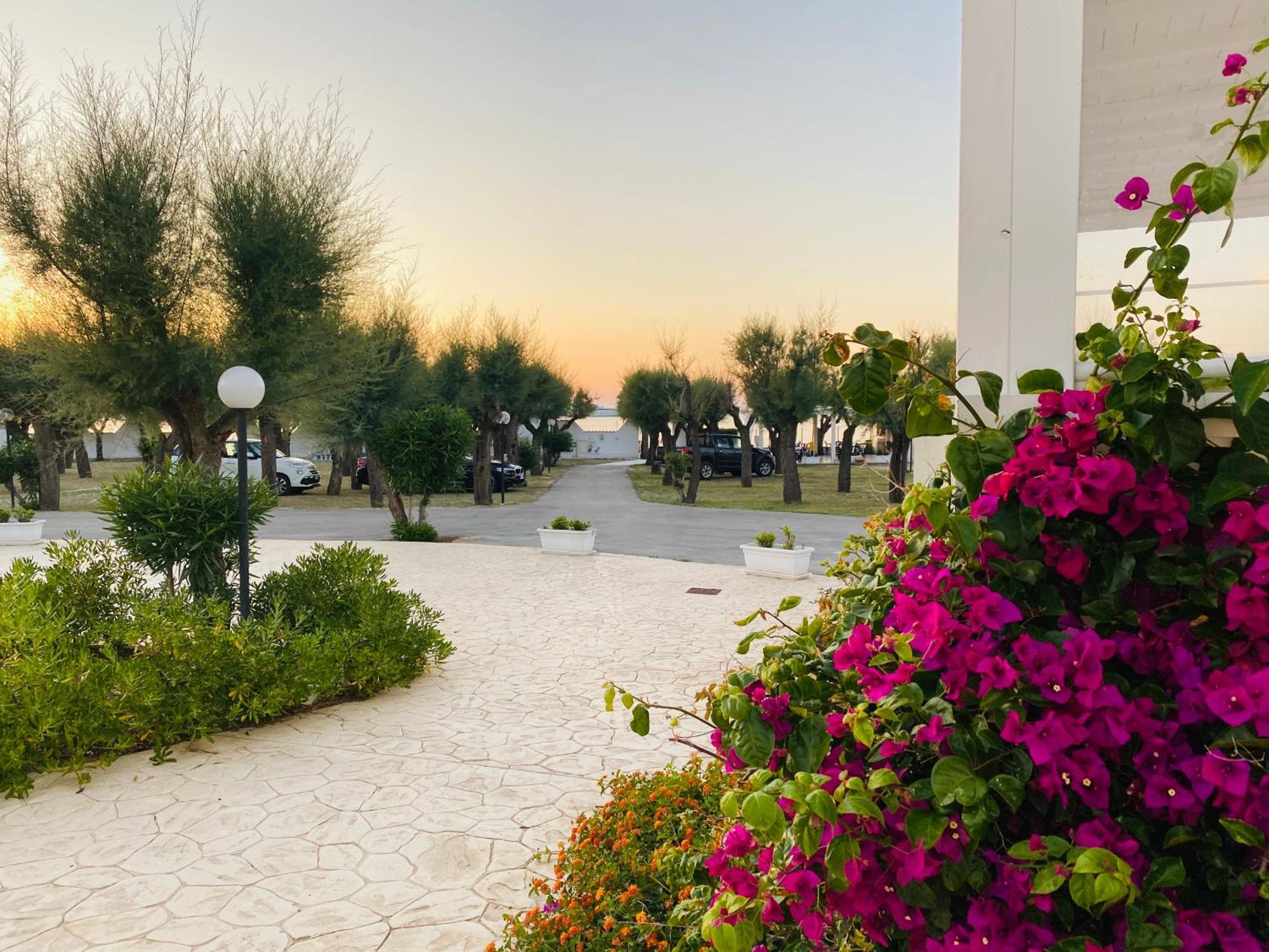 Hotel Corona Beach Peschici Eksteriør bilde